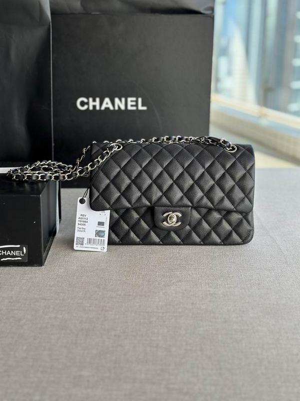 Chanel Handbags 317